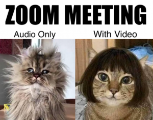 Zoom-meeting-audio-vs-video-meme-608x479